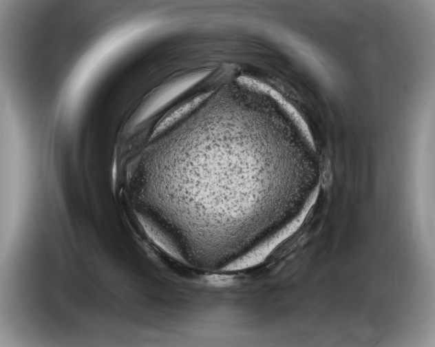 X0000083600052200703091749