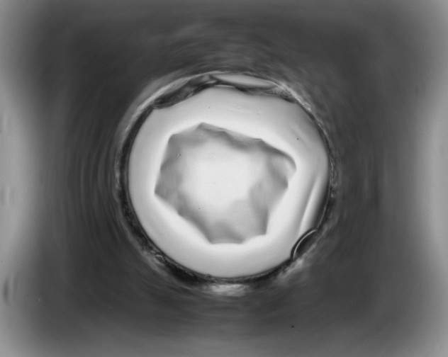 X0000083600055200703091750