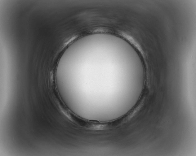 X0000083600057200703091750