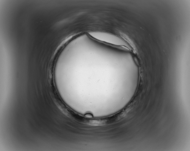 X0000083600059200703091750