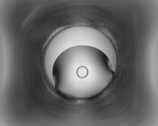 X0000083600060200703091750