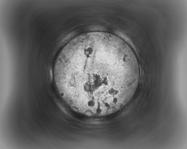 X0000083600061200703091750