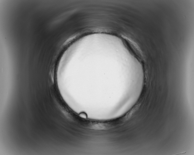 X0000083600062200703091750