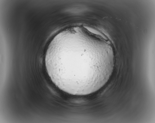 X0000083600063200703091750