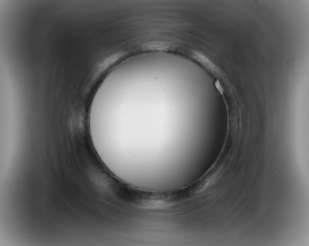 X0000083600064200703091750