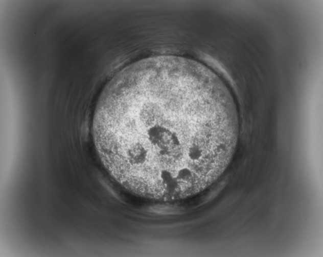 X0000083600065200703091750