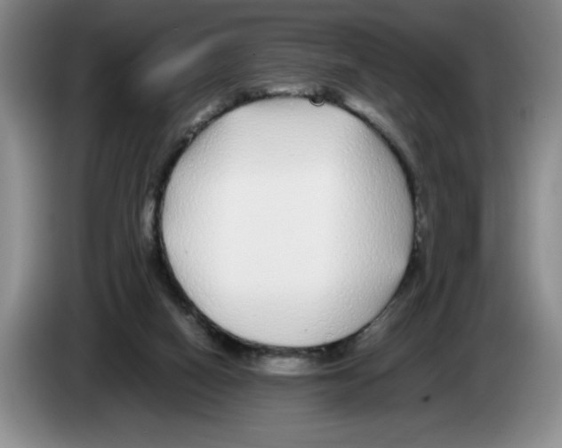 X0000083600066200703091750