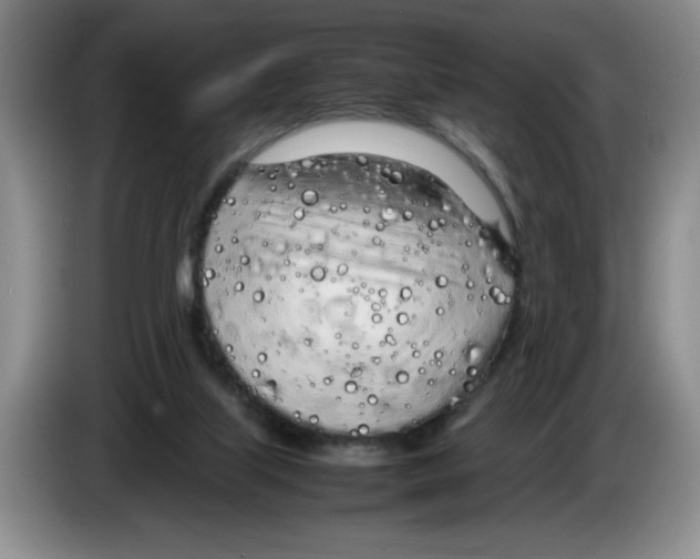 X0000083600067200703091750