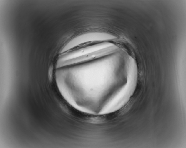 X0000083600070200703091750