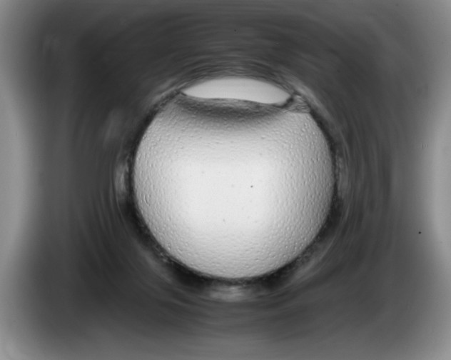 X0000083600071200703091750