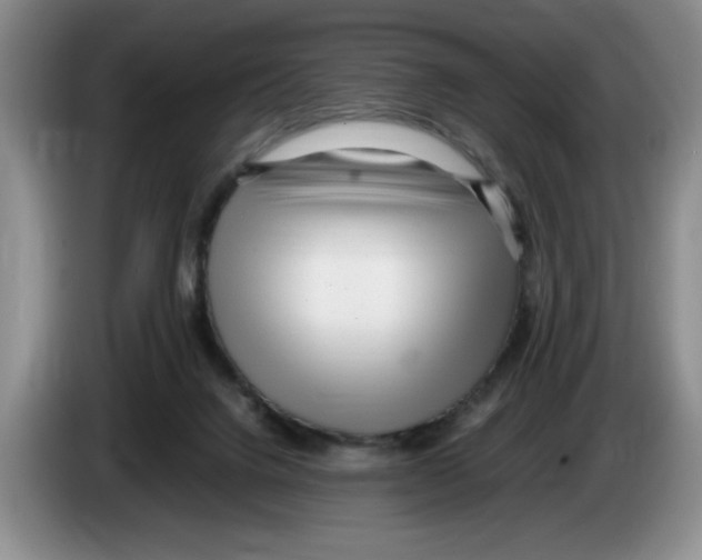 X0000083600072200703091750