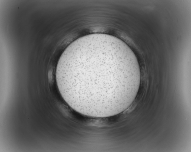 X0000083600074200703091750