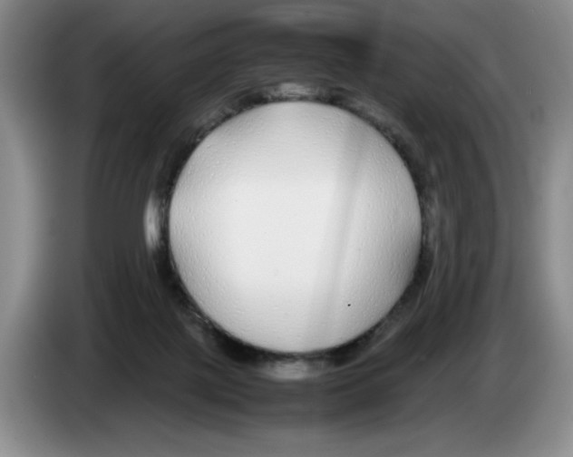 X0000083600075200703091750