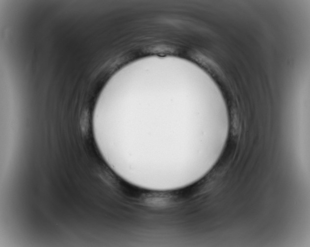 X0000083600077200703091750