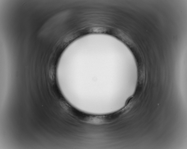 X0000083600078200703091750