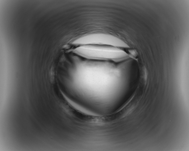 X0000083600080200703091750