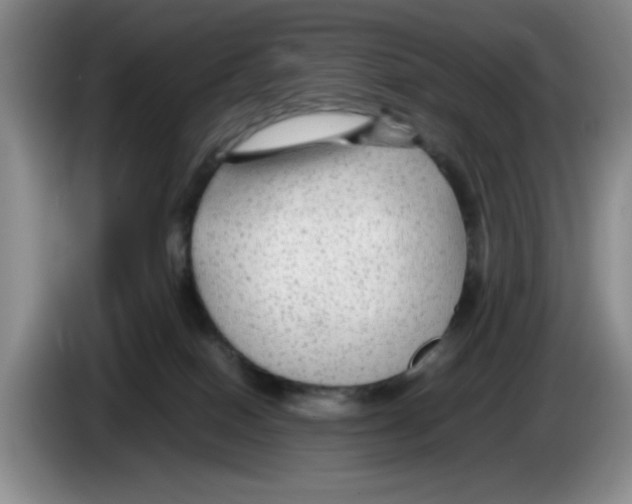 X0000083600086200703091750