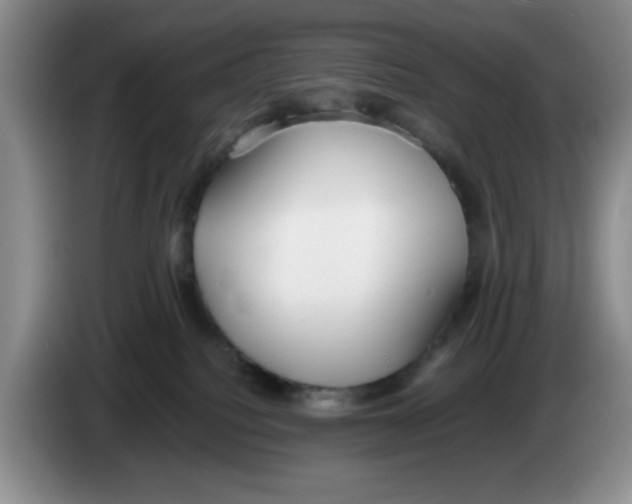 X0000083600088200703091750