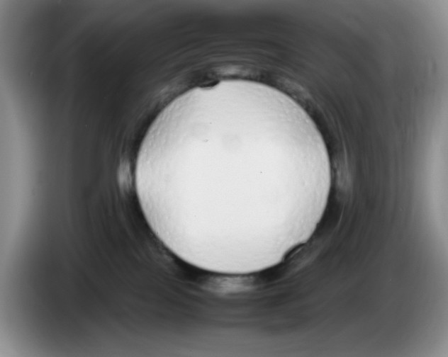 X0000083600089200703091750