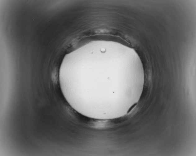 X0000083600090200703091750