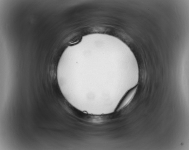 X0000083600091200703091750