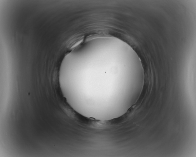 X0000083600092200703091750