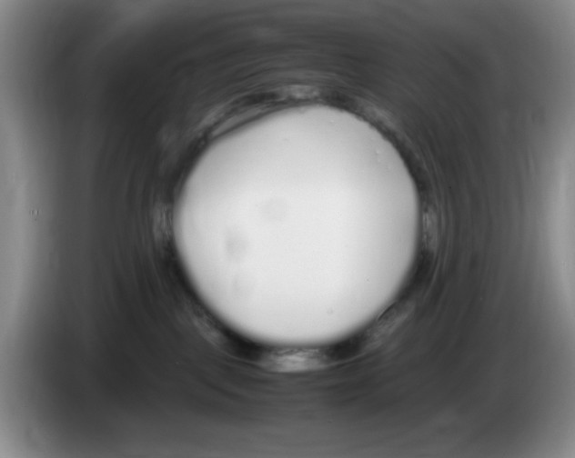 X0000083600093200703091750