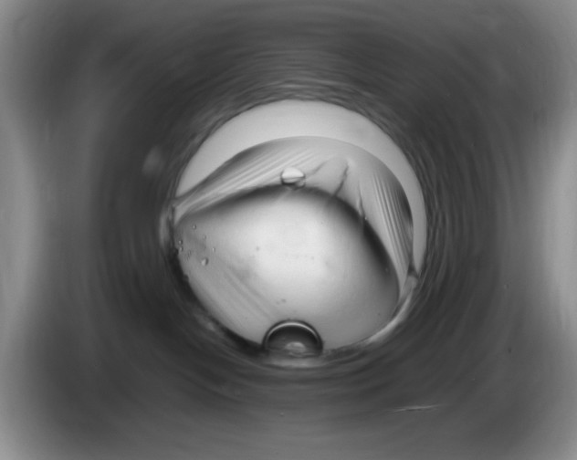 X0000083600094200703091750