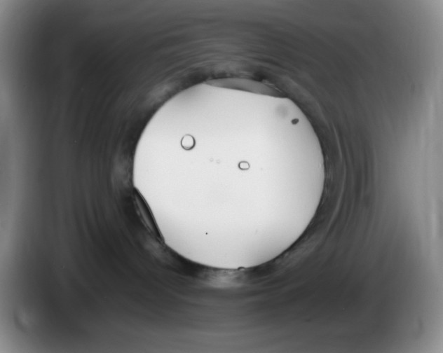 X0000083600096200703091750