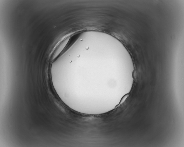 X0000083600098200703091749