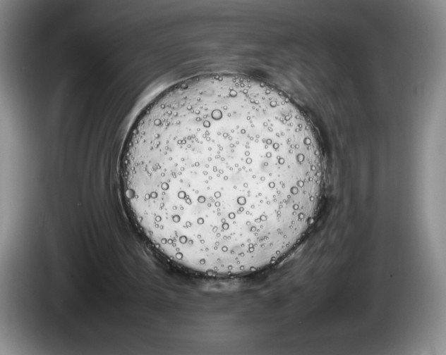 X0000083600099200703091749