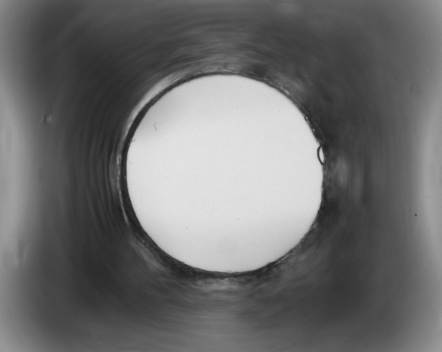 X0000083600100200703091749