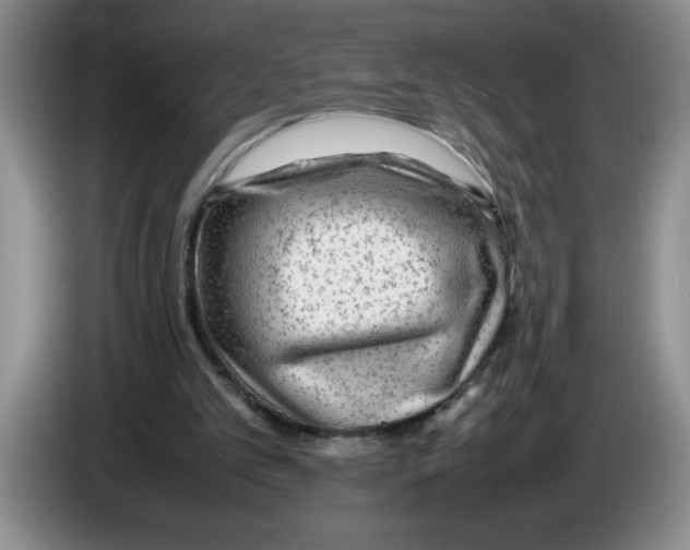 X0000083600101200703091749