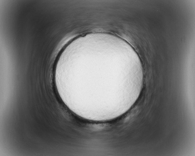 X0000083600103200703091749