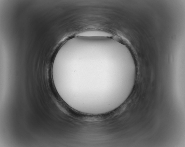 X0000083600106200703091749