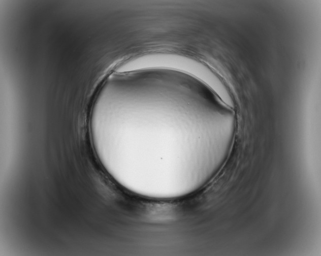 X0000083600107200703091749