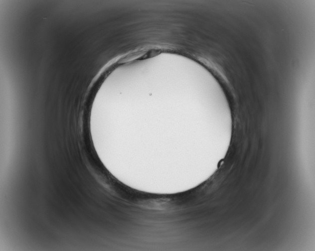 X0000083600108200703091749