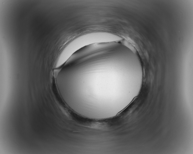 X0000083600109200703091749