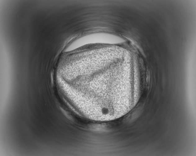 X0000083600110200703091749