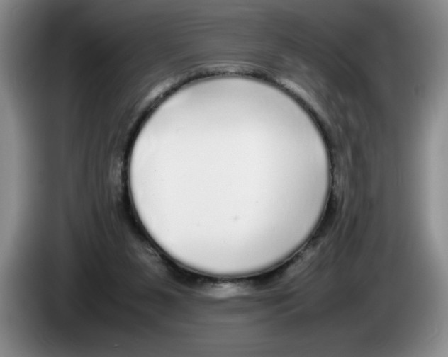 X0000083600111200703091749