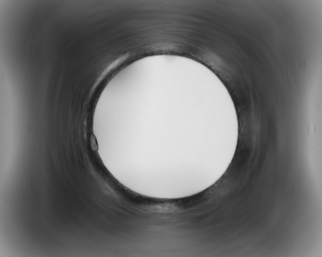 X0000083600112200703091749