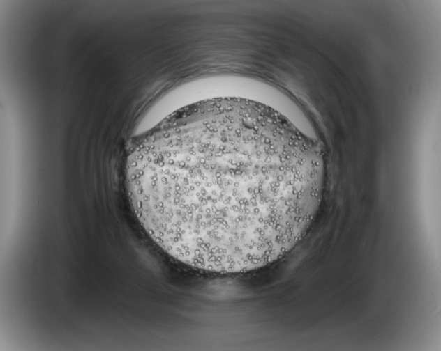 X0000083600114200703091749