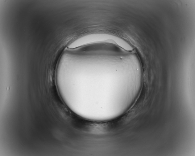 X0000083600115200703091749