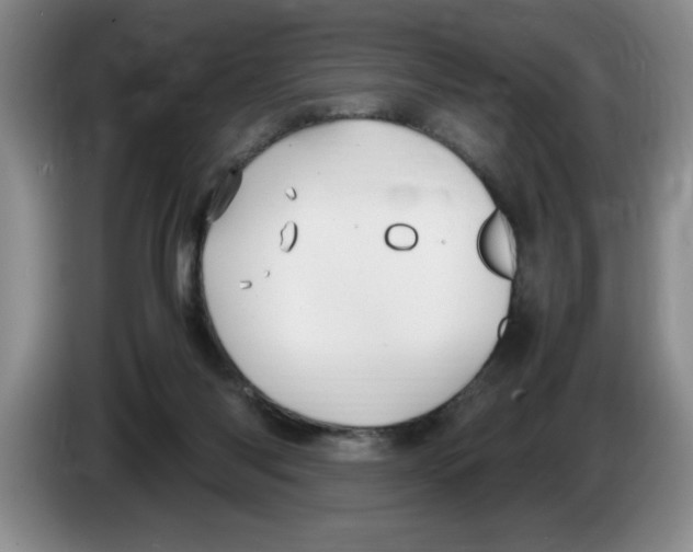 X0000083600118200703091749