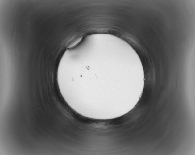 X0000083600120200703091749