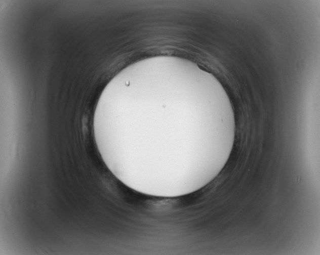 X0000083600122200703091749