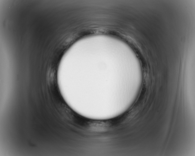 X0000083600123200703091749