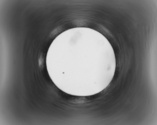 X0000083600124200703091749