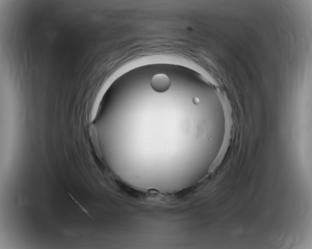 X0000083600125200703091749