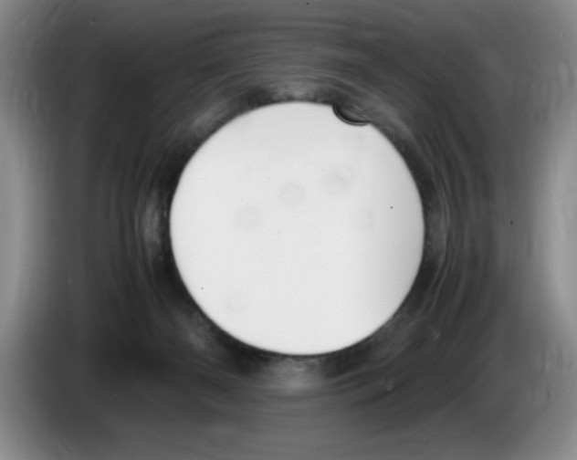 X0000083600126200703091749